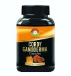 Cordy Herb Cordy Ganoderma Capsules Hot on Sale