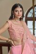 Aastha Fashion Women s Baby Pink Titan Silk Zari & Sequins Embroidery Party Wear Lehenga Choli Discount