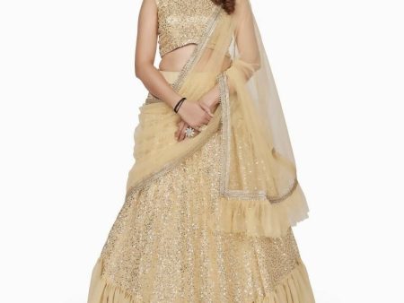 Aastha Fashion Women s Beige Faux Georgette Multi Sequins Work Party Wear Lehenga Choli Fashion