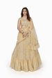 Aastha Fashion Women s Beige Faux Georgette Multi Sequins Work Party Wear Lehenga Choli Fashion