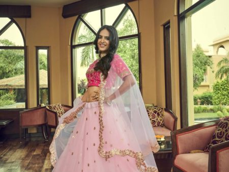 Aastha Fashion Women s Baby Pink Heavy Nylon Net Thread & Sequins Embroidery Wedding Lehenga Choli Online now