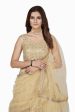 Aastha Fashion Women s Beige Faux Georgette Multi Sequins Work Party Wear Lehenga Choli Fashion