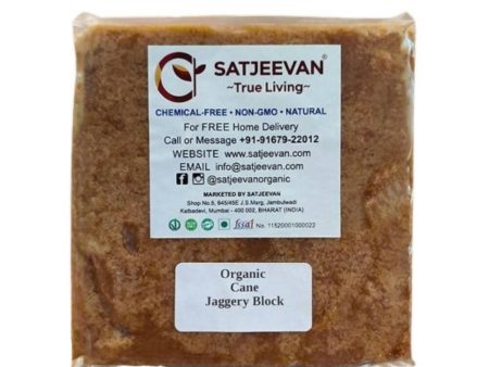 Satjeevan Organic Cane Jaggery Block Online Hot Sale