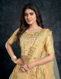 Aastha Fashion Women s Beige Italian Silk Thread & Sequins Embroidery Wedding Lehenga Choli Discount