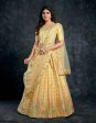 Aastha Fashion Women s Beige Italian Silk Thread & Sequins Embroidery Wedding Lehenga Choli Discount